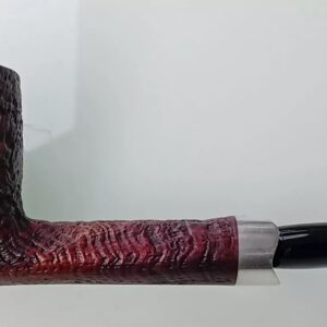 Pipa Radice rodata