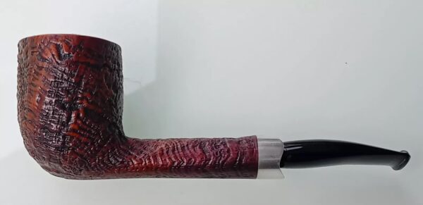 Pipa Radice rodata