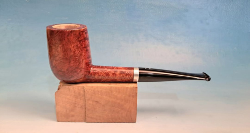 pipa-gesualdi-1