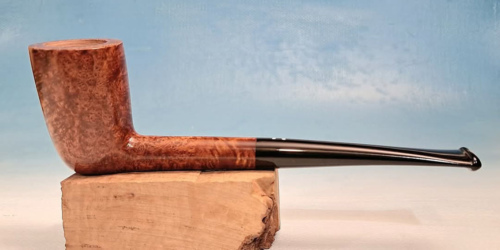 pipa-gesualdi-6