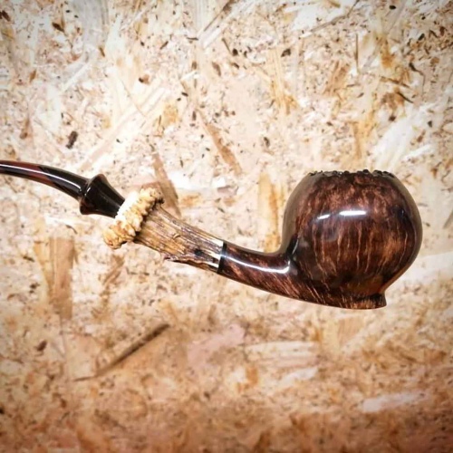 pipa-la-biota-4