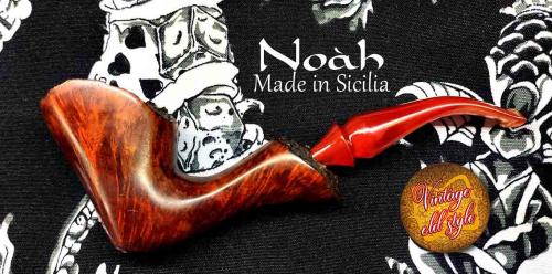 pipa-noah-1