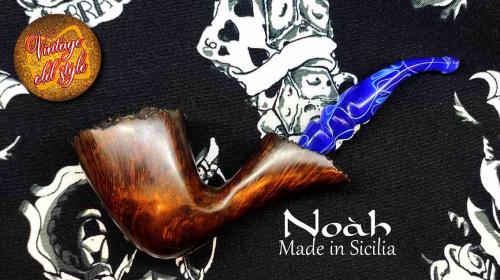 pipa-noah-10