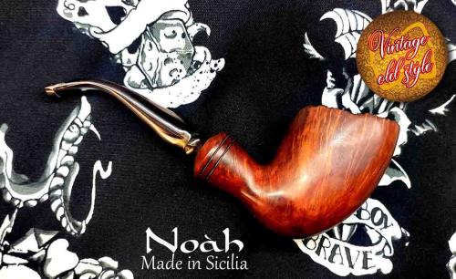 pipa-noah-3