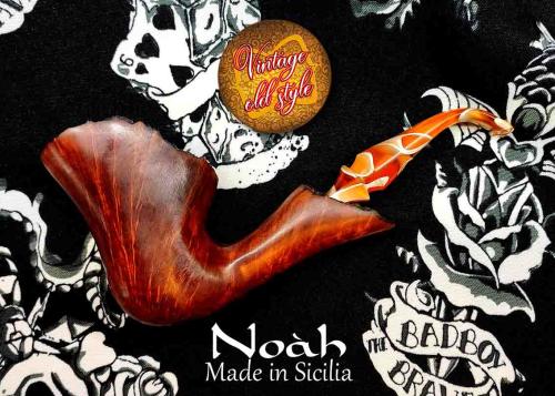 pipa-noah-4