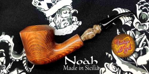 pipa-noah-6