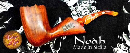 pipa-noah-8