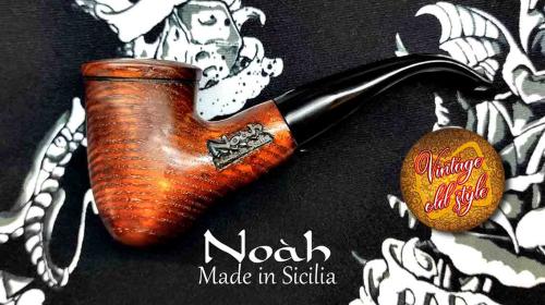 pipa-noah7