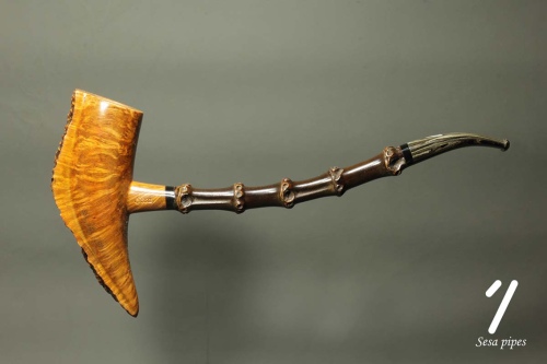 pipa-sesa-9